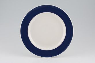 T G Green Jersey Blue Breakfast / Lunch Plate 9"