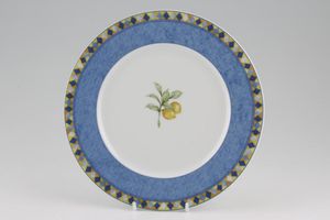 Royal Doulton Carmina - T.C.1277 Salad/Dessert Plate