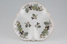Royal Worcester Lavinia - White Hor's d'oeuvres Dish 3 compartment crudite dish 9 1/2" thumb 1