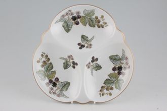 Sell Royal Worcester Lavinia - White Hor's d'oeuvres Dish 3 compartment crudite dish 9 1/2"