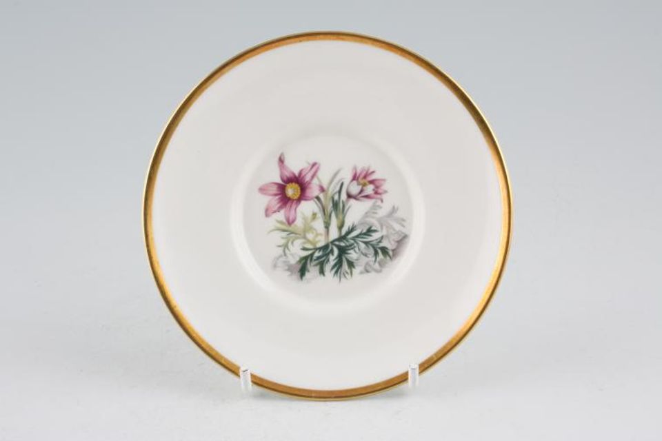 Royal Worcester Alpine Flowers Coffee Saucer No 9 - Well size 2 1/4" For Cans 5"