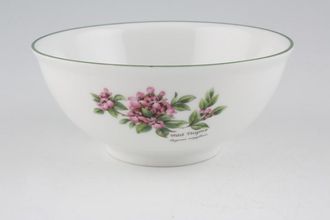 Sell Royal Worcester Worcester Herbs Rice / Noodle Bowl 5 1/4"