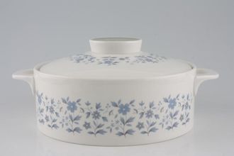 Sell Royal Doulton Galaxy - T.C.1038 Vegetable Tureen with Lid Loop Handles. Patter on outside.