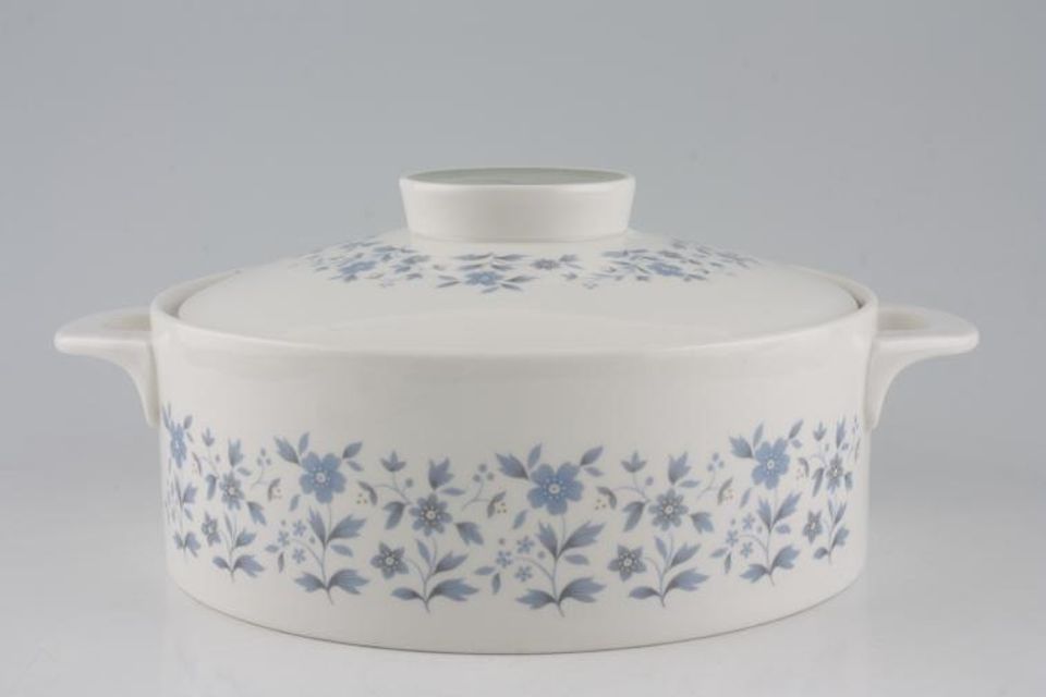 Royal Doulton Galaxy - T.C.1038 Vegetable Tureen with Lid Loop Handles. Patter on outside.