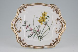 Spode Stafford Flowers - Y8519 Cake Plate Square, Narcissus & Crowea 10 1/2"