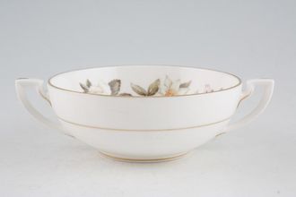 Royal Worcester Torquay Soup Cup 2 handles