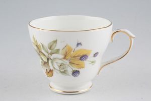 Duchess Autumn Teacup