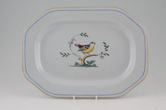 Spode Queen's Bird - Y4973 & S3589 (Shades Vary) Oval Platter B/S Y4973 12 1/4"