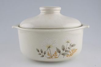 Sell Royal Doulton Will O' The Wisp - Thick Line - L.S.1023 Casserole Dish + Lid Oval - Lid sits Inside Rim 3 1/2pt