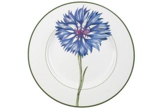 Villeroy & Boch Flora Dinner Plate Bleuet 10 5/8"