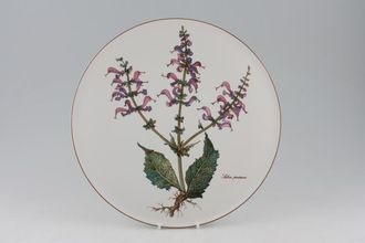 Sell Villeroy & Boch Botanica - Brown or Black Backstamp Gateau Plate 11 3/4"