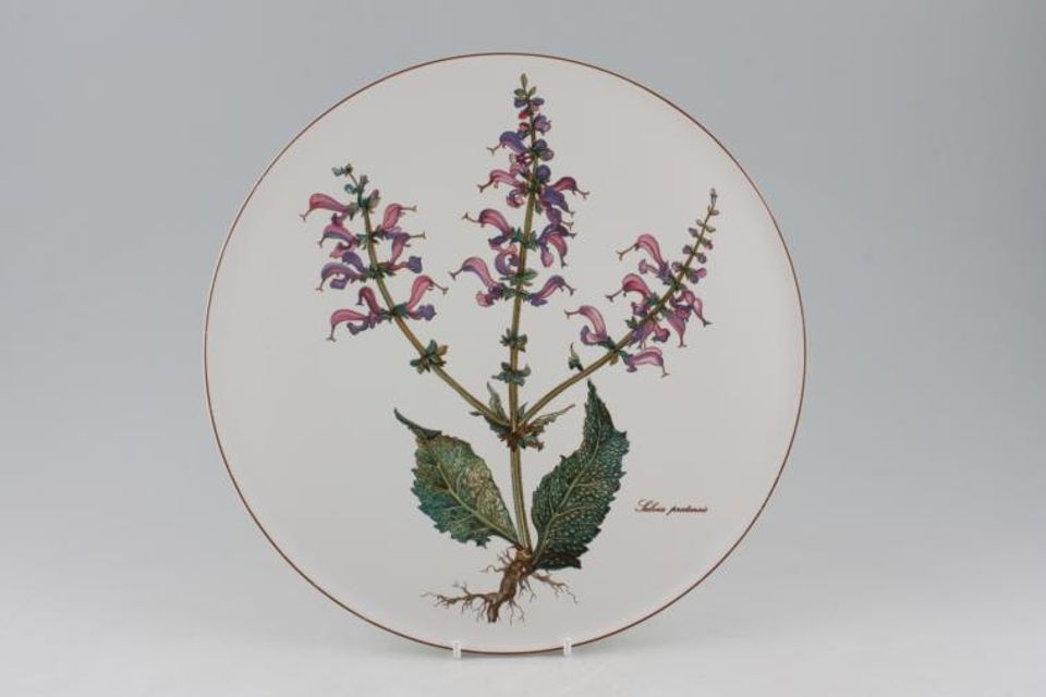 Villeroy & Boch Botanica - Brown or Black Backstamp Gateau Plate 11 3/4"