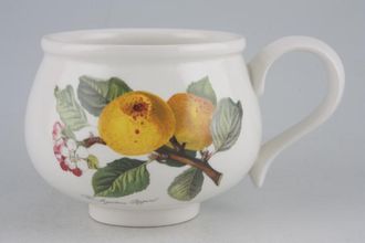 Sell Portmeirion Pomona - Older Backstamps Teacup The Ingestrie Pippin - Apple 3 1/4" x 3"