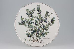Villeroy & Boch Botanica - Brown or Black Backstamp Gateau Plate