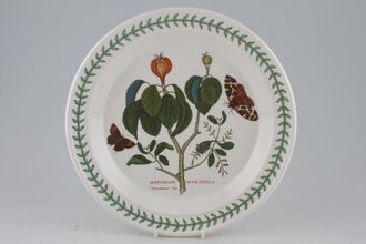 Portmeirion Botanic Garden - Older Backstamps Dinner Plate Hippomane Manicella - Manchineel Tree 10 3/8"