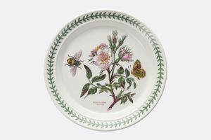 Portmeirion Botanic Garden - Older Backstamps Salad/Dessert Plate