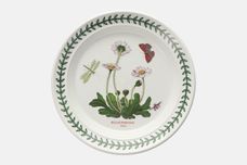 Portmeirion Botanic Garden - Older Backstamps Tea / Side Plate Bellis Perennis - Daisy 7 1/4" thumb 1