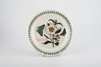 Portmeirion Botanic Garden - Older Backstamps Tea / Side Plate Cistus Ladaniferus - Spanish Gum Cistus - name on plate 7 1/4"