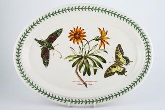 Sell Portmeirion Botanic Garden - Older Backstamps Oval Platter Arctotis Grandiflora - African Daisy 14 7/8"
