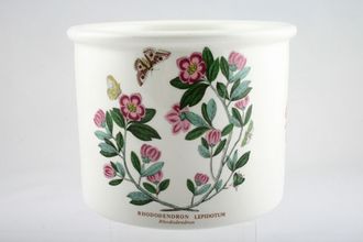Sell Portmeirion Botanic Garden - Older Backstamps Plant Holder Rhododendron Lepidotum - Rhododendron - named 6 1/8" x 4 7/8"