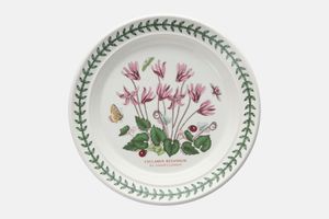 Portmeirion Botanic Garden - Older Backstamps Tea / Side Plate