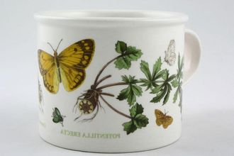 Portmeirion Botanic Garden - Older Backstamps Breakfast Cup Drum Shape - Potentilla Erecta - Common Tomentill - named 3 3/4" x 3"