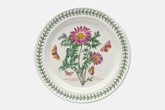 Portmeirion Botanic Garden - Older Backstamps Dinner Plate Chrysanthemum Coccineum - Flowered Chrysanthemum 10 3/8"