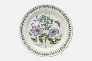 Portmeirion Botanic Garden - Older Backstamps Dinner Plate