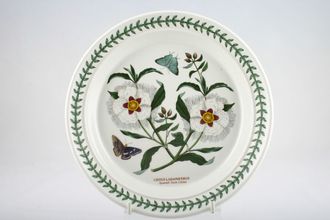 Portmeirion Botanic Garden - Older Backstamps Salad/Dessert Plate Cistus Landaniferus - Spanish Gum Cistus 8 1/2"