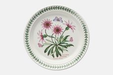 Portmeirion Botanic Garden - Older Backstamps Salad/Dessert Plate Gazania Ringens - Treasure Flower 8 1/2" thumb 1