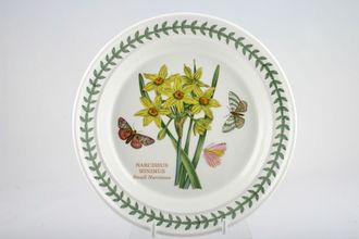 Sell Portmeirion Botanic Garden - Older Backstamps Tea / Side Plate Narcissus Minimus - Small narcissus 7 1/4"