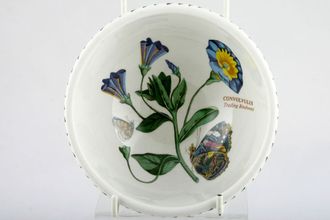 Sell Portmeirion Botanic Garden - Older Backstamps Bowl Convolvulus - Trailing Bindweed - name inside bowl 5 3/8"