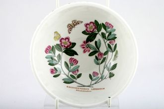 Portmeirion Botanic Garden - Older Backstamps Bowl Rhododendra Lepiddotum - Rhododendron - name inside bowl 5 3/8"