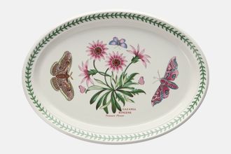 Portmeirion Botanic Garden - Older Backstamps Oval Platter Gazinia Rimens - Treasure Flower 13"