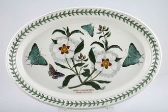 Sell Portmeirion Botanic Garden - Older Backstamps Oval Plate Cistus Ladaniferus - Spanish Gum Cistus - Rimmed 11"