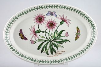 Sell Portmeirion Botanic Garden - Older Backstamps Oval Plate Gazania Ringens - Treasure Flower - Rimmed 11"