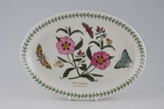 Sell Portmeirion Botanic Garden - Older Backstamps Oval Plate Cistus Purpureus - Purple Rock Rose - Not Rimmed 10 5/8"