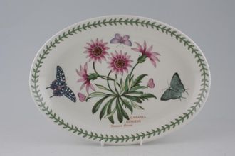 Sell Portmeirion Botanic Garden - Older Backstamps Oval Plate Gazania Ringens - Treasure Flower - Not Rimmed 10 5/8"