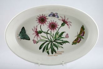 Sell Portmeirion Botanic Garden - Older Backstamps Serving Dish Oval - OTT - Gazania Ringens - Treasure Flower 11 1/4" x 7 1/4"