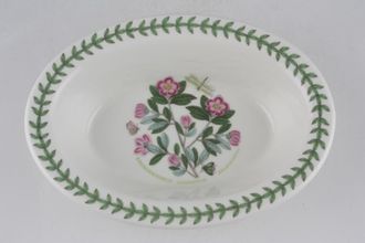 Sell Portmeirion Botanic Garden - Older Backstamps Serving Dish Oval - Rhododendron Lepidotum - Rhododendron - name inside 8" x 5 3/4"