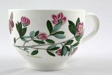 Portmeirion Botanic Garden - Older Backstamps Breakfast Cup Romantic shape - Rhododendron Lepidotum - named 4" x 3" thumb 1