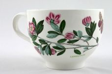 Portmeirion Botanic Garden - Older Backstamps Breakfast Cup Romantic shape - Rhododendron Lepidotum - named 4" x 3" thumb 2