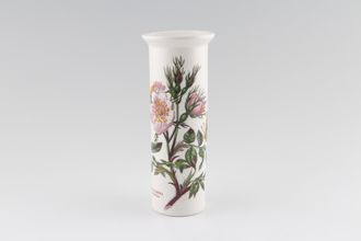 Portmeirion Botanic Garden - Older Backstamps Vase Cylinder shape - Rosa Canina - Dog Rose - named 6 3/4"