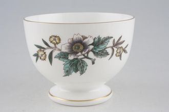 Wedgwood Anemone Sugar Bowl - Open (Tea) Footed 4"