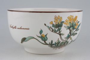 Villeroy & Boch Botanica - Brown or Black Backstamp Rice Bowl
