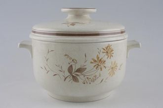 Sell Royal Doulton Sandsprite - thick line - L.S.1013 Casserole Dish + Lid Round. Lugged 2 1/2pt