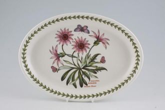 Portmeirion Botanic Garden Oval Platter Treasure Flower 10 3/8"