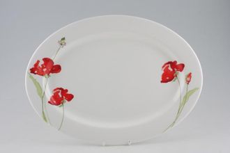 Sell Aynsley Meadow - Casual Dining Oval Platter 14 5/8"