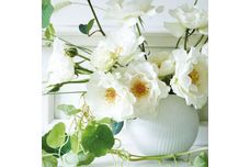 Wedgwood Folia Rose Bowl White Folia 12.5cm thumb 2
