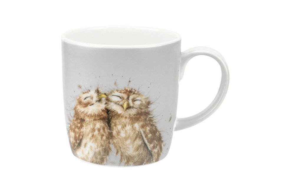 Royal Worcester Wrendale Designs Mug The Twits (Owl) 400ml